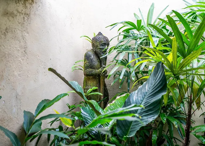 Villa Baliku - Everyone's Favourite